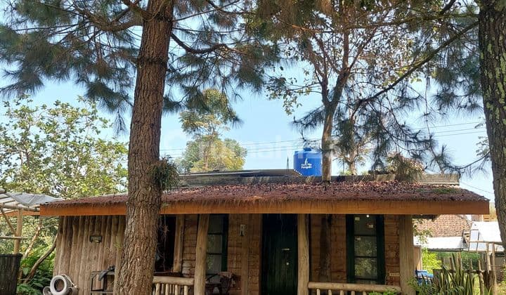 Dijual Tanah Bonus Villa Mainroad Jl. Cibodas Lembang Bandung