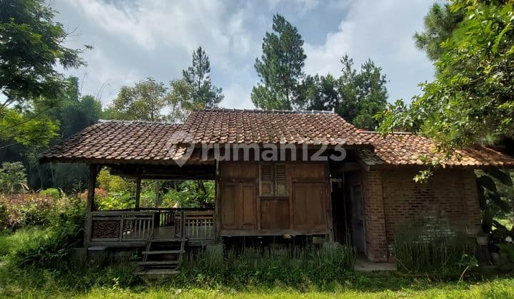 Dijual Tanah Bonus Villa Mainroad Jl. Cibodas Lembang Bandung