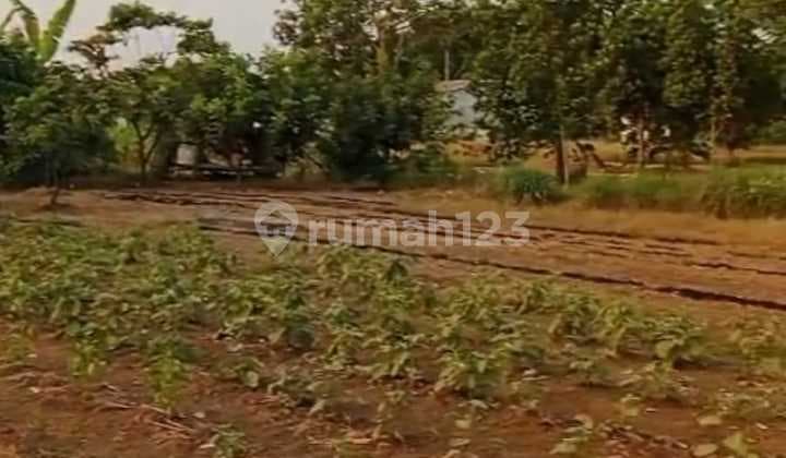 Dijual Tanah Strategis di Jl. Raya Subang Padaasih