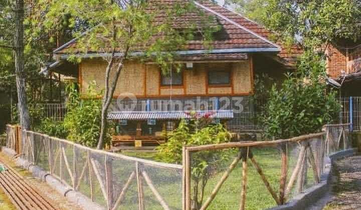 Classic & Unique Atmosphere Villa House in Nagrak Subang