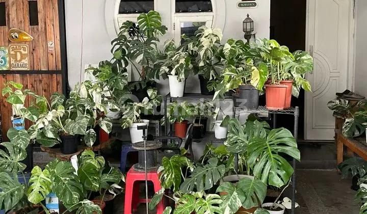 Rumah di Permata Taman Sari Asri Bandung, Cantik dan Aesthetic