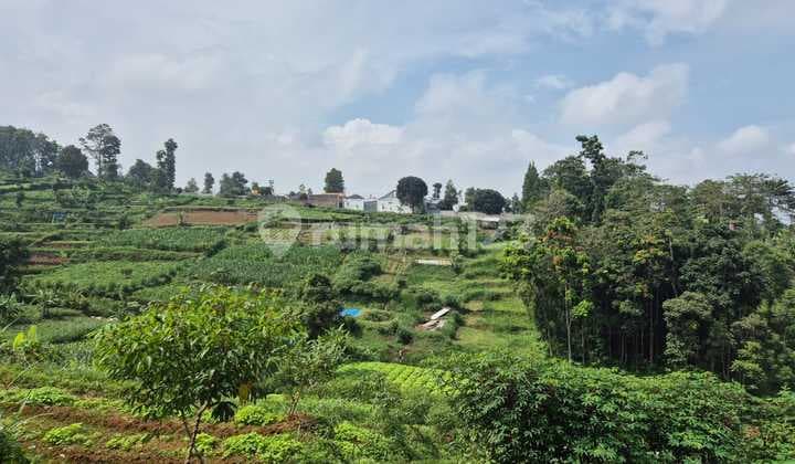 Lahan Luas Hadap Timur di Cipageran Cimahi Harga Terjangkau