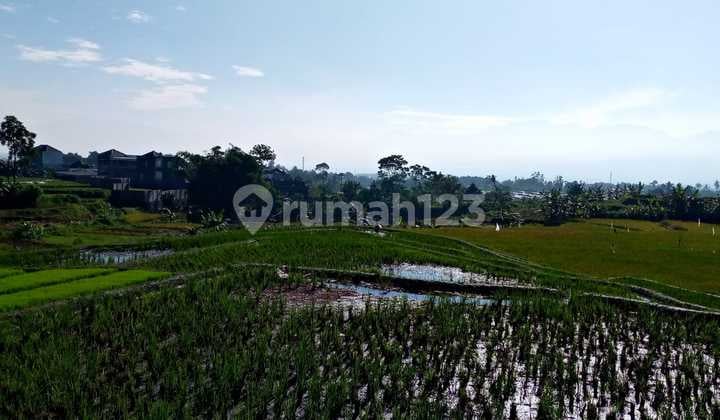 Tanah Luas Dijual ,Lokasi Strategis di Jl. Semarang Garut