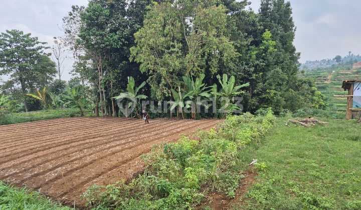 Strategic Land in Cipageran, Cimahi, West-Facing, Ready for Construction