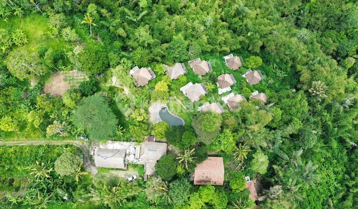 Bekas Resort Mewah! Hitung Tanah Saja View Jungle Ubud Tegalalang