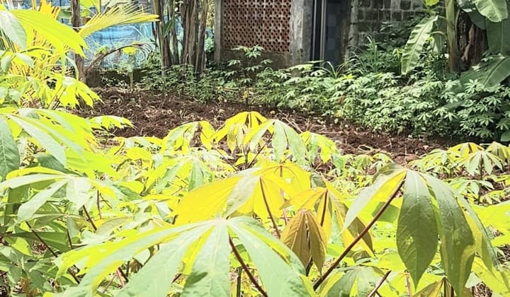 Kav Cisauk Shm Jalan.beton Dekat Stasiun Krl Cisauk