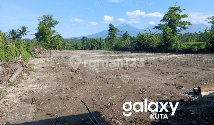 FOR SALE LAND WITH HOUSE BUILDING BONUS IN PEREAN BATURITI TABANAN - BALI
