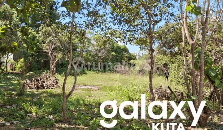 Interesting Price! Land in the Premium Area Favored by Expats in Kutuh Badung - Bali
