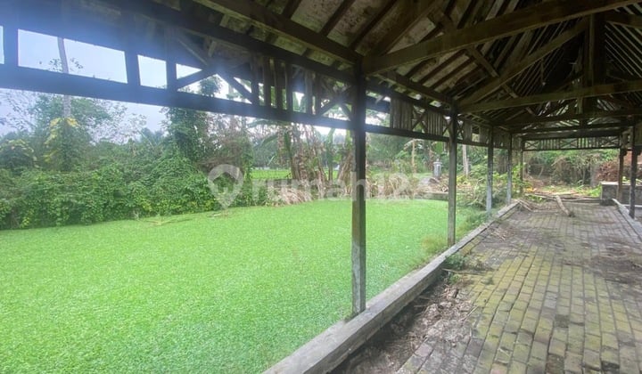 Dijual Cepat Tanah Luas di Sleman Mlati Daerah Istimewa Yogyakarta