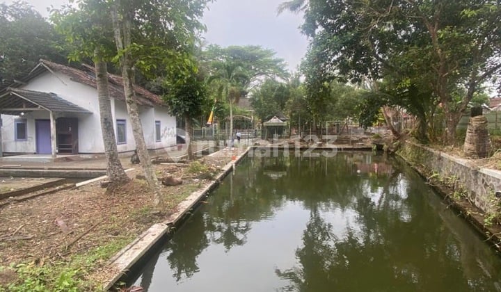 Jual Cepat Lahan Luas di Sleman Siap Pakai