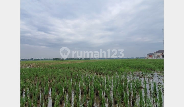 Tanah SHM Lokasi Strategis di Pekandangan, Indramayu