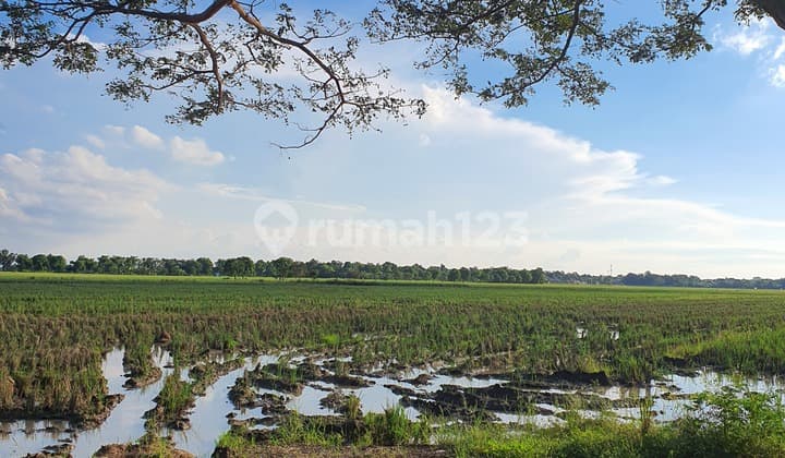 Tanah SHM Lokasi Strategis di Pekandangan, Indramayu