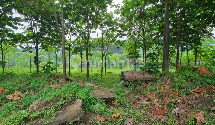 Dijual Tanah Di Wonosobo Jateng