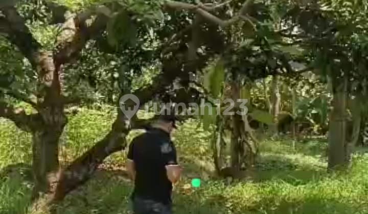 Dijual Tanah Di Teluk Naga