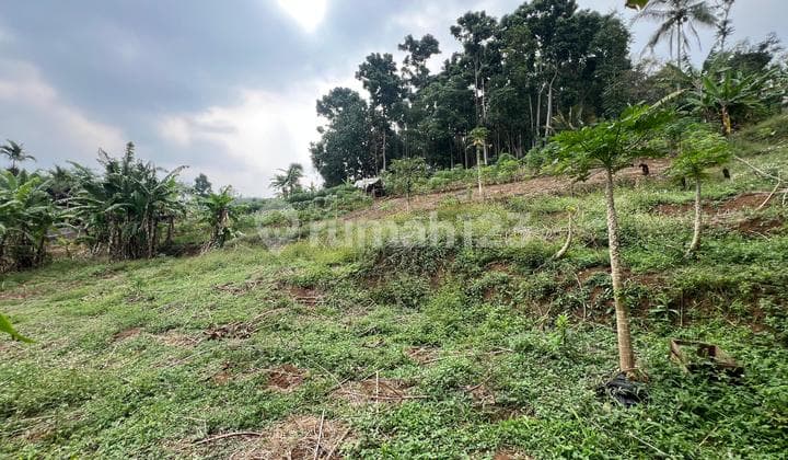 Quick Sale of Large Land in Pasir Impun, Bandung