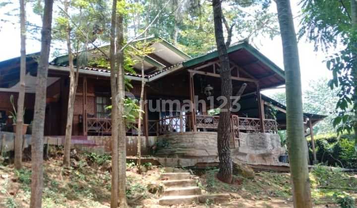 Jual Cepat Rumah Tanah Luas di Bawah Harga Pasar di Dago Bandung