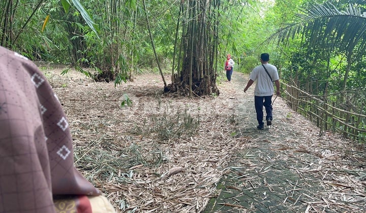 Di Jual Tanah Di Cisoka Balaraja Desa Salapajang