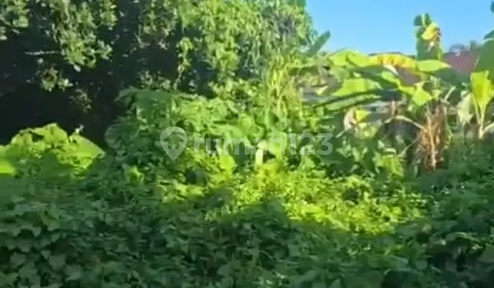 Tanah Siap Bangun dan Murah Nangka Utara Denpasar Utara