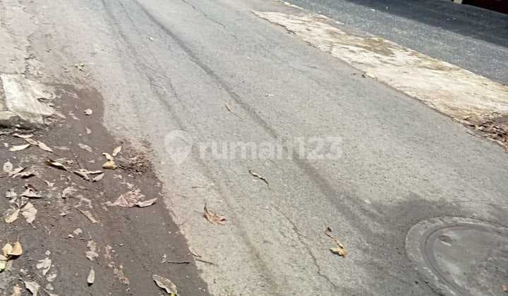 Tanah Itr Kuning Kutat Lestari Sanur Kauh Denpasar Bali