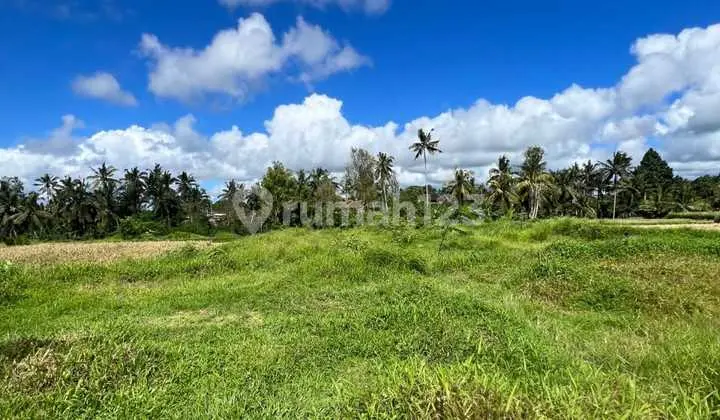 Land Location Private Yellow Zone Jl Cinta Tegallalang Ubud Bali