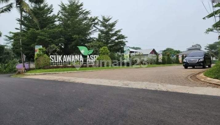 A Comfortable House and a Serene Atmosphere