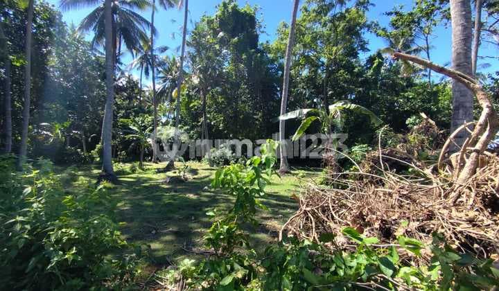 Tanah di Pura Segara Candidase, Nyuhtebel, Manggis, Karangasem