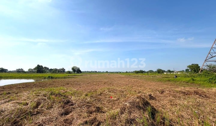 Kavling Murah 9.565M2 di Balaraja Tangerang Strategis Bebas Banjir Siap Bangun