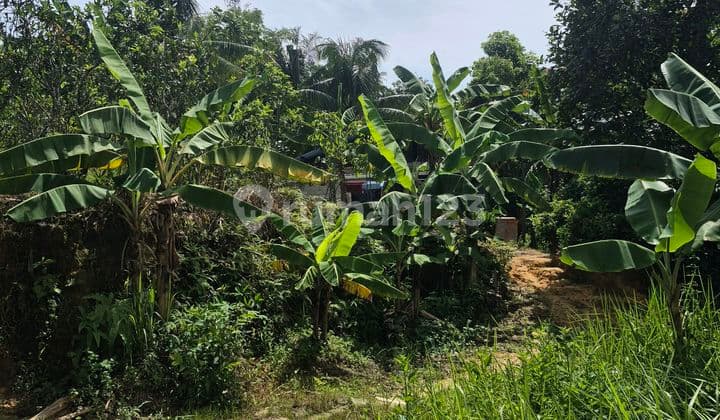 Lahan Murah Mt Haryono Tembusan Pasar Butun Kilo 5