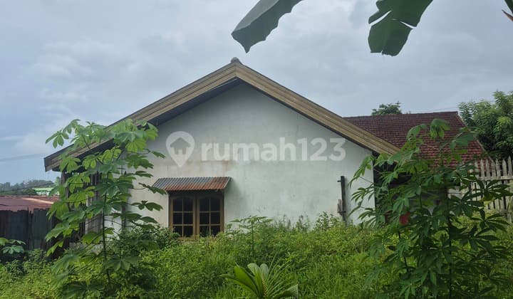 Rumah Lahan Luas Dekat Dengan Kawasan Rdmp Cocok Untuk Investasi