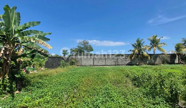 Kavlingan Ukuran Jumbo di Balikpapan Timur Dekat Stadion