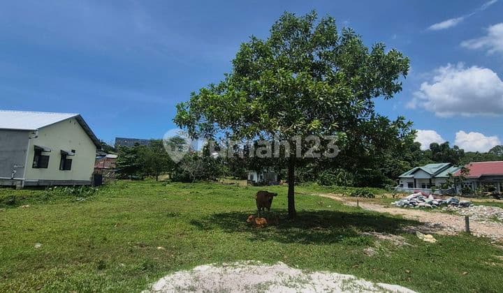 Lahan Di Kampung Timur Siap Bangun Lokasi Strategis Konstur Datar