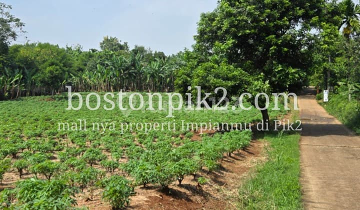 Land for Sale, Suitable for Housing, Plantation, Livestock Farming