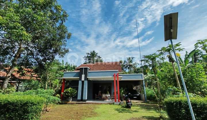 Rumah SHM Luas Dekat Pasar dan Terminal Kroya Cilacap