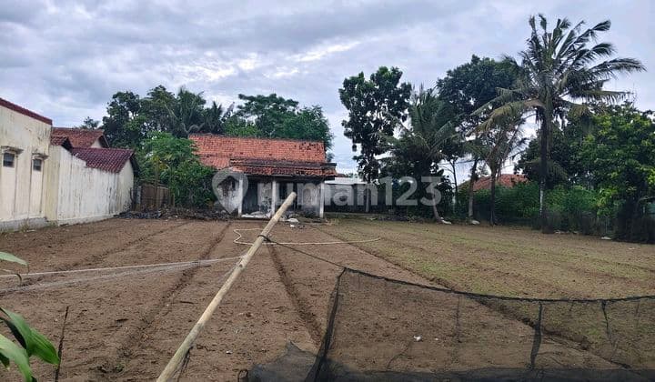 Tanah SHM Lebar Muka 26 Meter di Menganti Cilacap