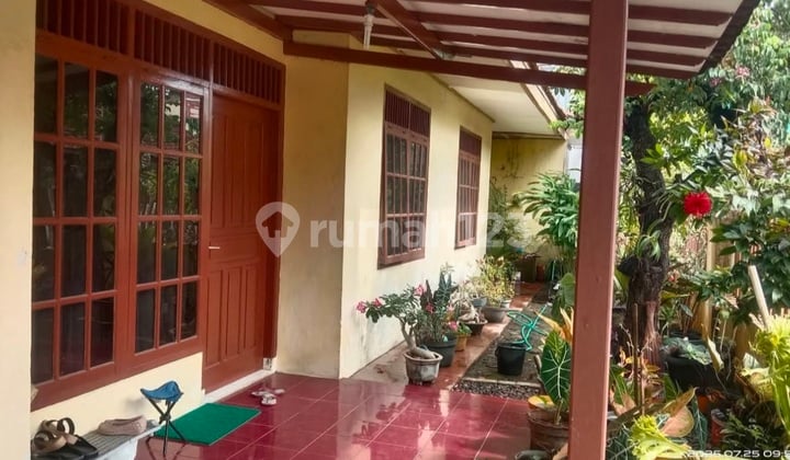 Rumah Shm Bagus Pusat Kota Cilacap Dekat Polresta Dan Rsi Fatimah