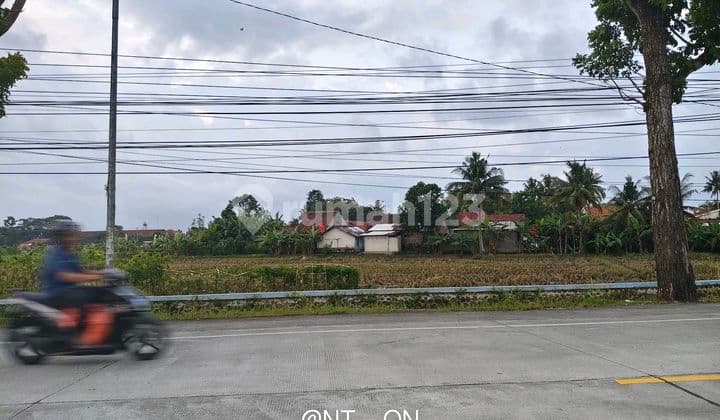 Tanah Shm Darat Akses Jalan Provinsi Dekat Rs Pmc Sampang Cilacap