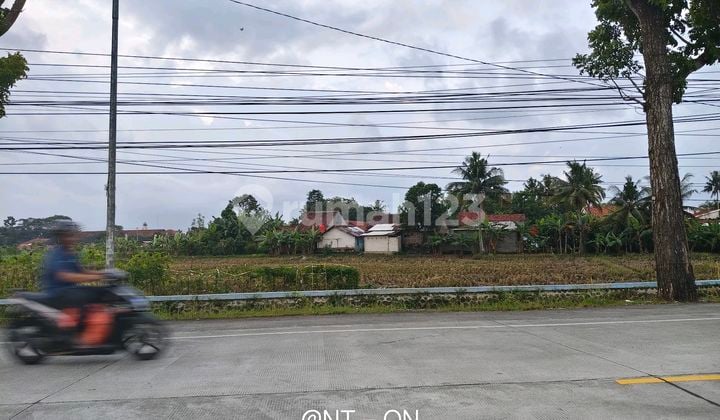 Tanah Shm Darat Akses Jalan Provinsi Dekat Rs Pmc Sampang Cilacap