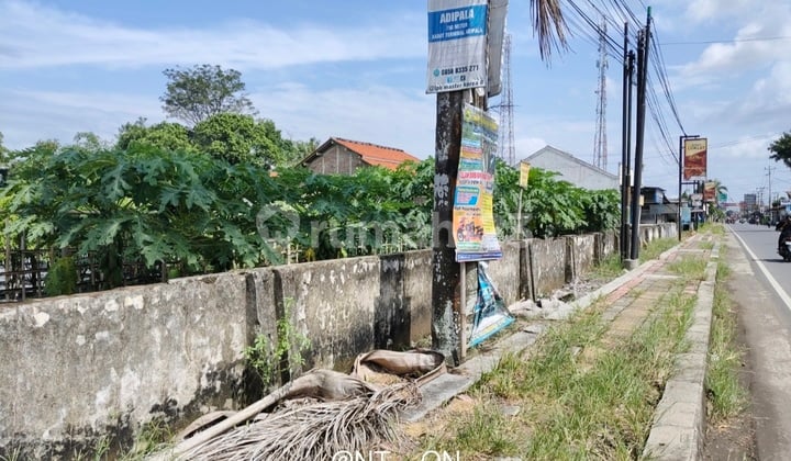 Tanah Strategis Dekat Terminal Adipala Harga Di Bawah Pasaran