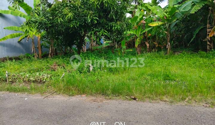 Tanah SHM Harga Terbaik Dekat Pertamina di Maos Cilacap