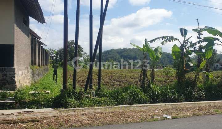Tanah Sawah di Jl Raya Campursalam Parakan Temanggung