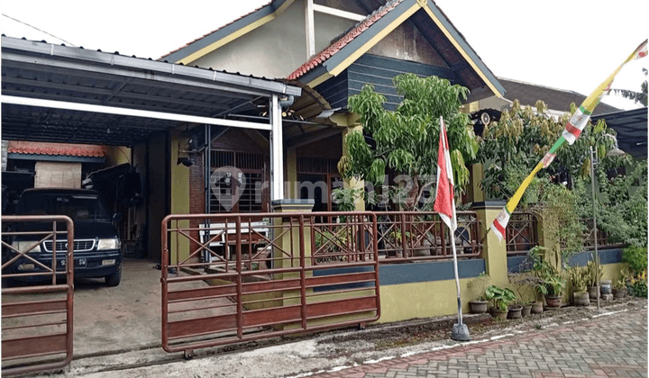 Rumah di Gg Nangka Jl Dawung Kedungpani Mijen Semarang