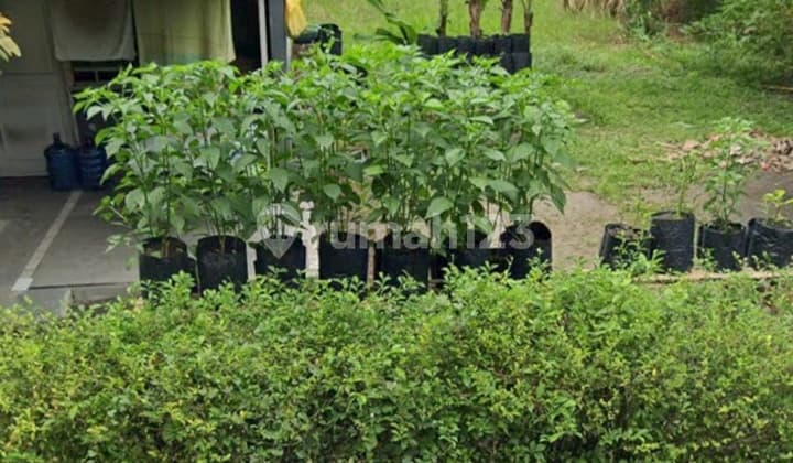 Dijual Murah Rumah Tanah di Komplek Dharma Deli Percut Sei Tuan