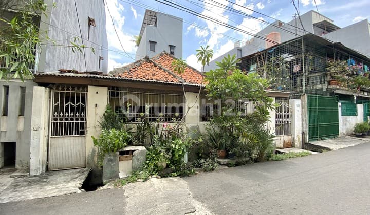 Nego Sampai Deal! Rumah Tua Hitung Tanah Pademangan, Jakarta Utara