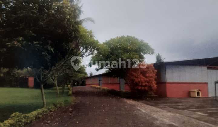 Pasti Deal Di Jual Tanah Bonus Bangunan Lokasi Kaliakah Banyu Biru Jembrana Bali