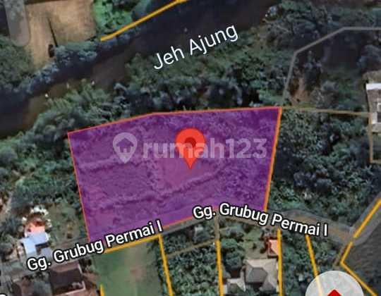 Deal for Sale: Land Loss River Location in Padang Galak, East Denpasar, Bali