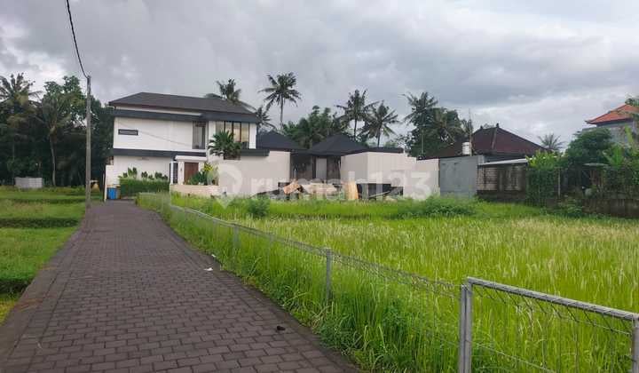 Definitely A Deal For Sale Rice Field View Land Location Lodtunduh Ubud Gianyar Bali