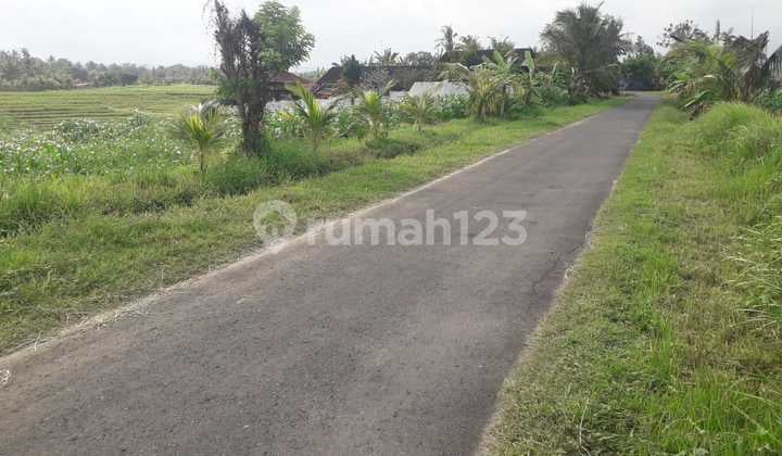 Pasti Deal Di Jual Tanah Pinggir Jalan Utama Lokasi Beraban Tabanan Bali