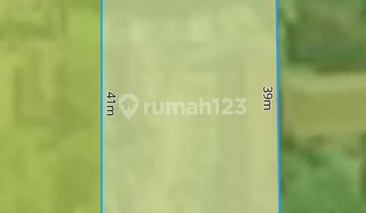 Pasti Deal Di Jual Tanah Dekat Jalan Utama Lokasi Kemenuh Ubud Gianyar Bali