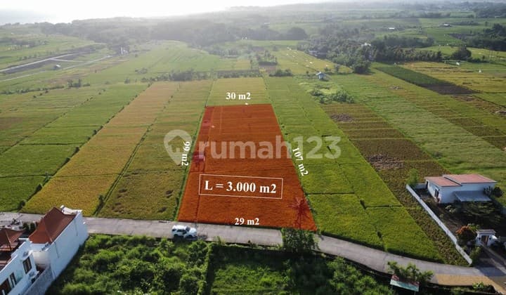 Pasti Deal Di Jual Tanah Siap Bangun View Laut Gunung Dan Sawah Lokasi Kelating Tabanan Bali