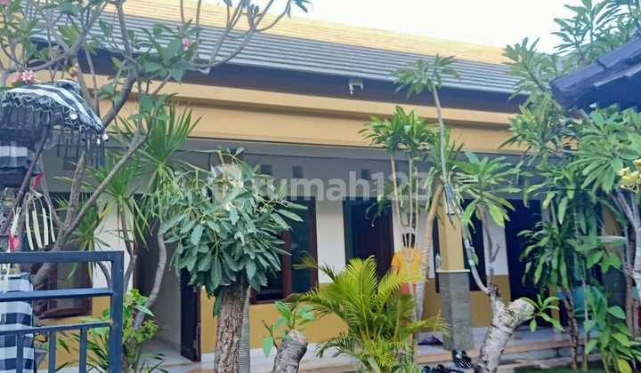 Pasti Deal Di Jual Kost Dan Rumah Lokasi Jalan Hangtuah Sanur Denpasar Selatan Bali